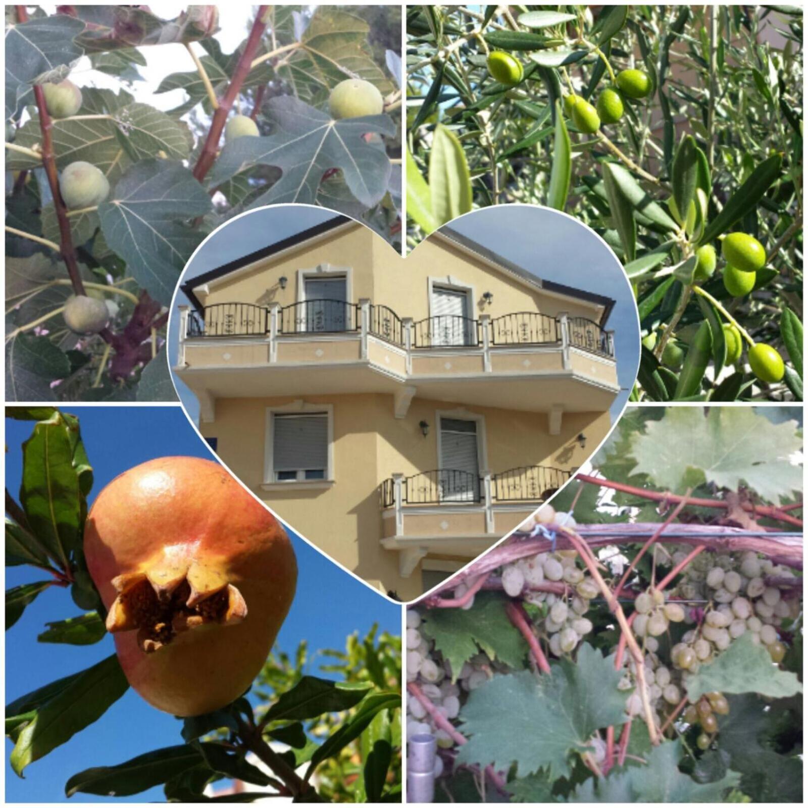 Villa Magdalena Vodice Luaran gambar